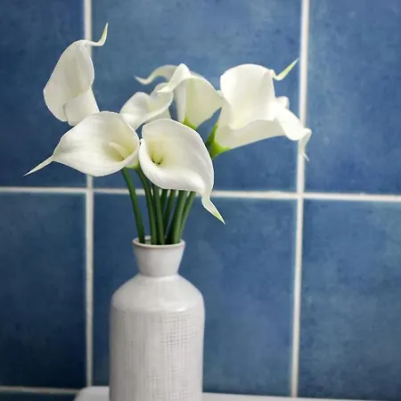 Bluoltremare Apartamento Amalfi